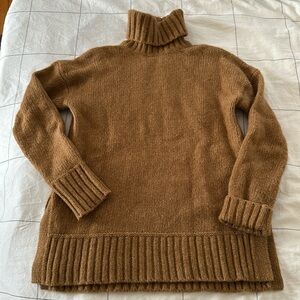 Everlane the cloud wool turtleneck sweater